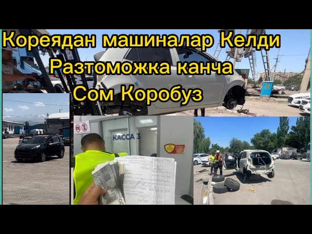 Құрттары бар порно видео