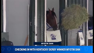 Checking on Kentucky Derby winner Mystik Dan