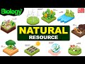 Essential Earth: Resources and Life-Supporting Systems