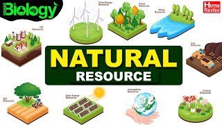 Natural Resource | Types of Natural Resources | Renewable & Non-Renewable Resources