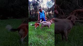 Moja Przyjaciółka Koza