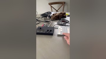 Monome Norns orgnwrms - sketch #2