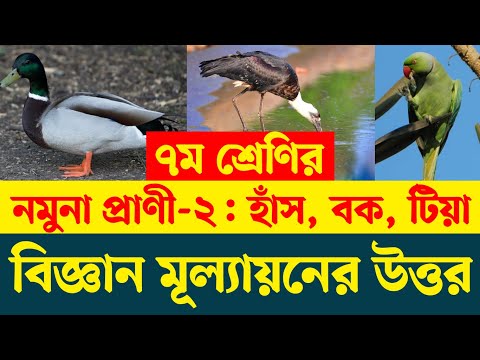 ভিডিও: স্টিল 09G2S - বৈশিষ্ট্য এবং বৈশিষ্ট্য