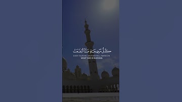 يا أيها الناس اتقوا ربكم إن زلزلة الساعة شيء عظيم سورة الحج بصوت الشيخ ياسر الدوسري