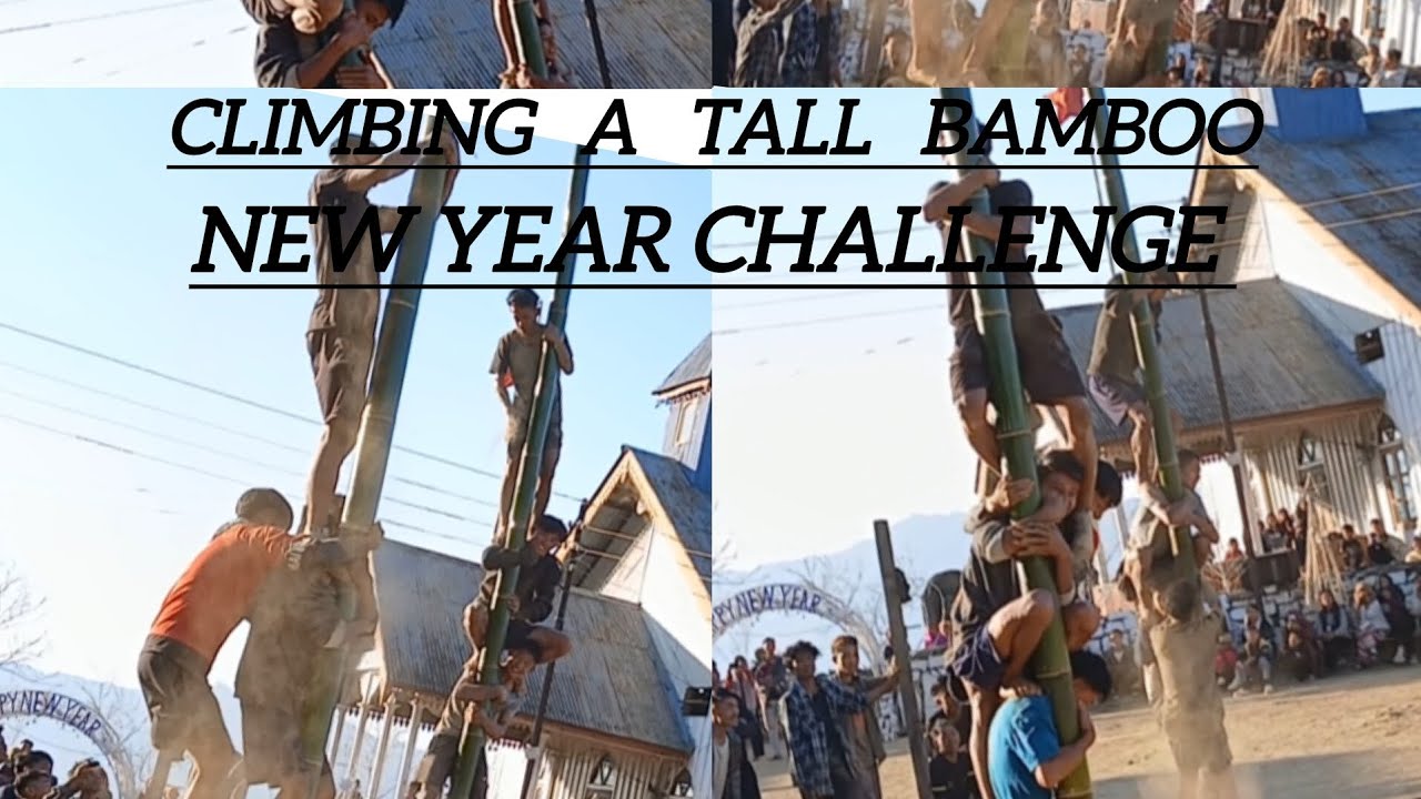 Watch this insane bamboo climb #BambooClimbing #ExtremeClimb 