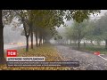 Погода в Україні: на більшості території синоптики прогнозують тумани