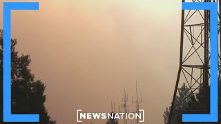 LA wildfire looters will be prosecuted to 'fullest extent': Official | Vargas Reports