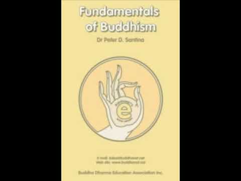 Video: Fundamentals Of Buddhism - Alternative View