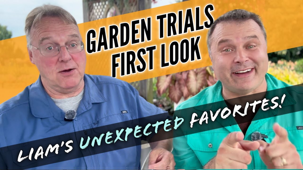 Flight Delays Flower Displays Liam Names His Trial Garden Stars flight-delays-flower-displays-liam-names-his-trial-garden-stars