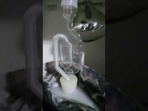 Fermentação Cream Ale