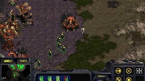 Starcraft Brood war Map Python 1.3 Terran vs Zerg (16.12.05)