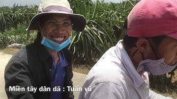 Câu cá lóc bằng vịt- đi câu ở địa bàn của người ta và cái kết...