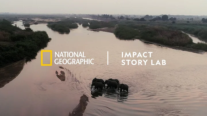 Nat Geo's Impact Story Lab drives positive change, combining storytelling with science