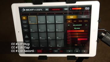TheAudioDabbler | BeatHawk QuickTip Transport Controls