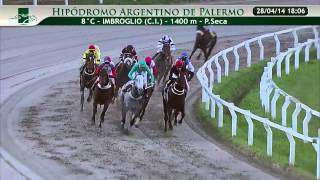 20140428 8 palermo