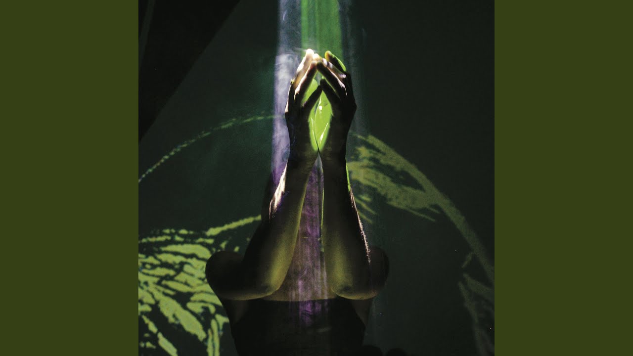 Guarda ducks su YouTube Guarda ducks su YouTube