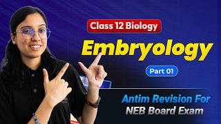 Embryology Class 12 Biology: Full Chapter Revision for NEB Board Exams