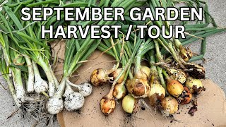 September Garden Harvest, Garden Tour - SO BLESSED