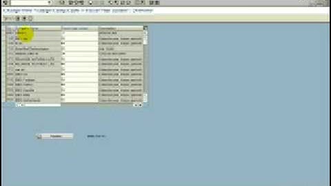 Elements of SAP GUI Window - PART 3 - Data Entry Made Simple