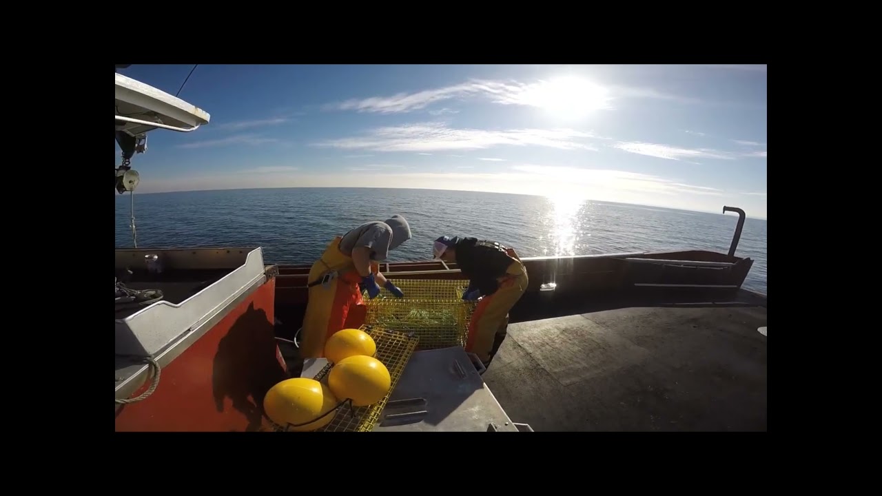 Ropeless Lobster Traps   HD 1080p