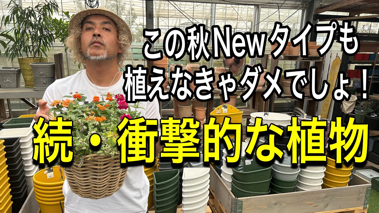 Mixed planting] More shockingly strong plants ☆ A new type of