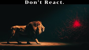 Nobody Will Test You Twice After You Learn These 7 Moves