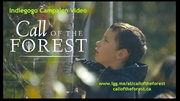 Indiegogo Campaign Video