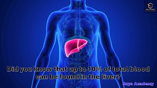 Liver's Vital Role: 10% Blood, 84L Pumped Hourly