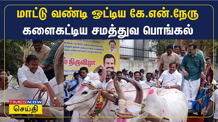 பொங்கல் விழா 2025 - மாட்டு வண்டி ஓட்டிய அமைச்சர் கே.என்.நேரு.. களைகட்டிய கொண்டாட்டம் | KN Nehru