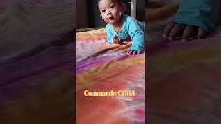Commando crawl. The baby is learning to crawl.