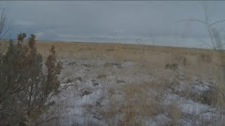 BLM wants public input on proposed changes on geothermal, oil and gas leasing
