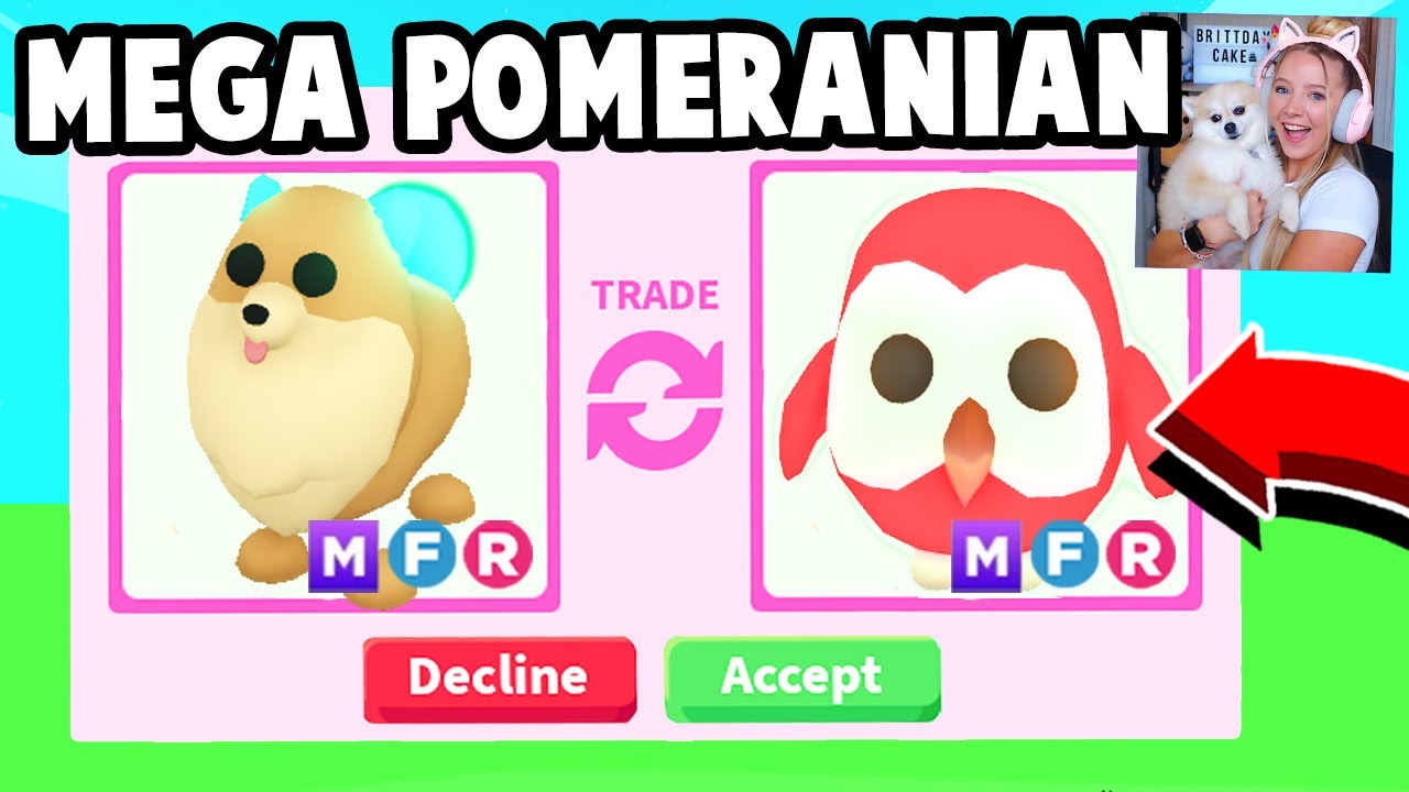 Roblox Adopt Me Trading Values - What is Pomeranian Worth