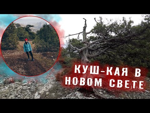 Video: Mount Sokol (Kush-Kaya): kenmerken, klimmen, interessante feiten