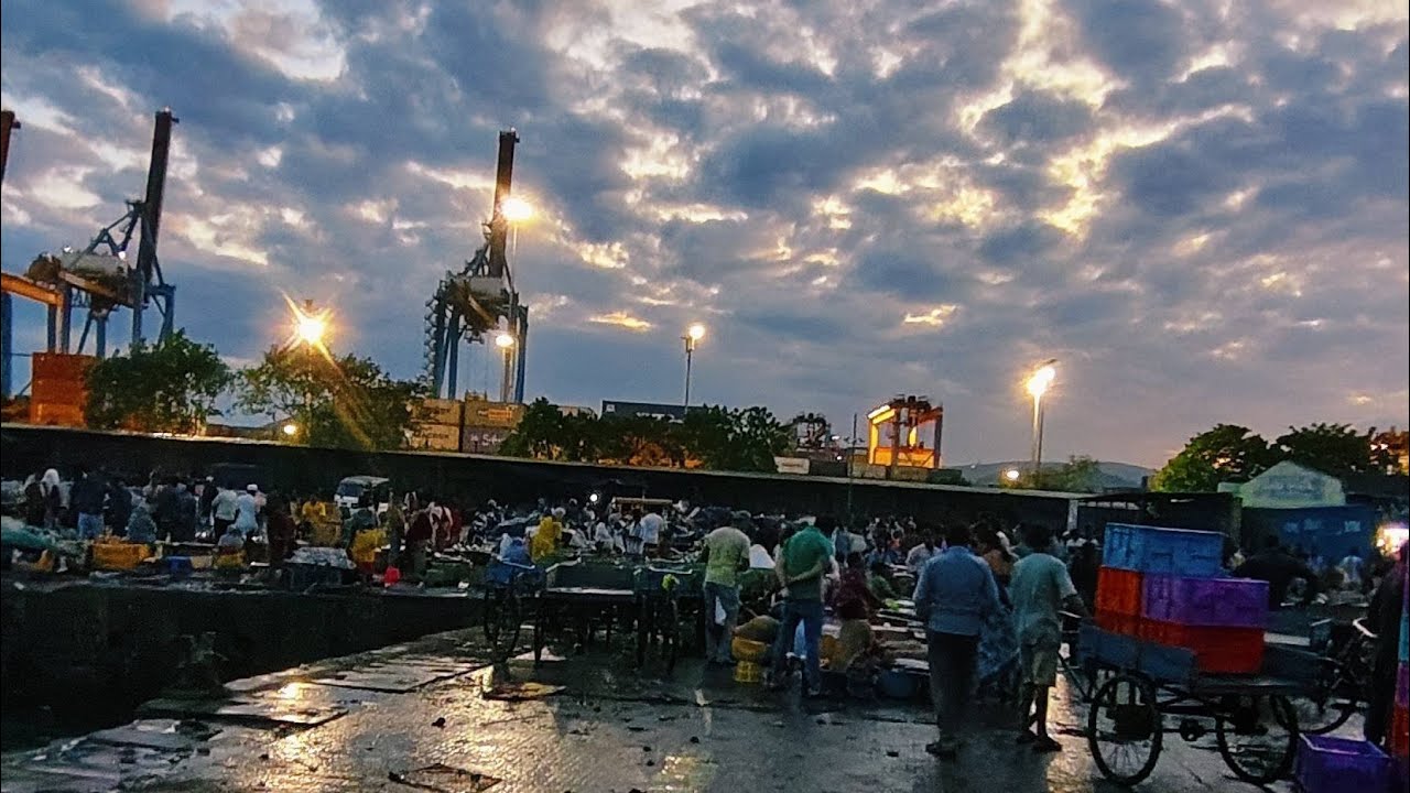 The Fishermen of Vizag: A Live Tour of India's Coastal Seafood Culture