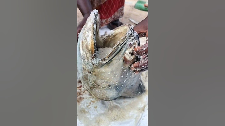 பட்டறை கட்டா கருவாடு செய்முறை | Traditional Dry Fish Preparation | Fisherman's Life | #shorts