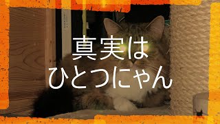 施工不良【注文住宅の落とし穴】「紛争審査会」対決編8