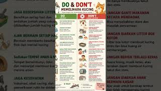 tips jangan dikurung terus #cantikcatsme #cat #infokucing #kucinglucu #catsme