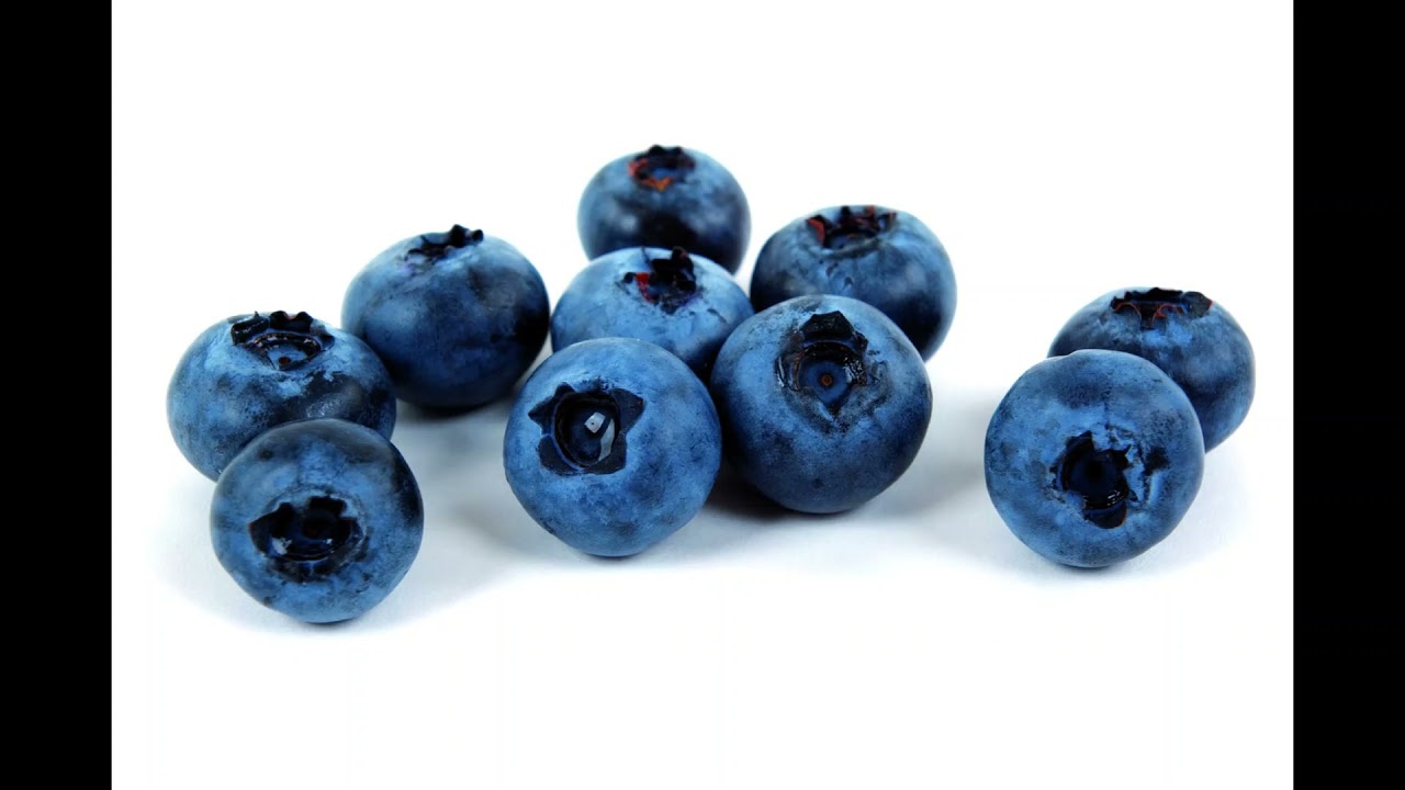 Blueberries YouTube