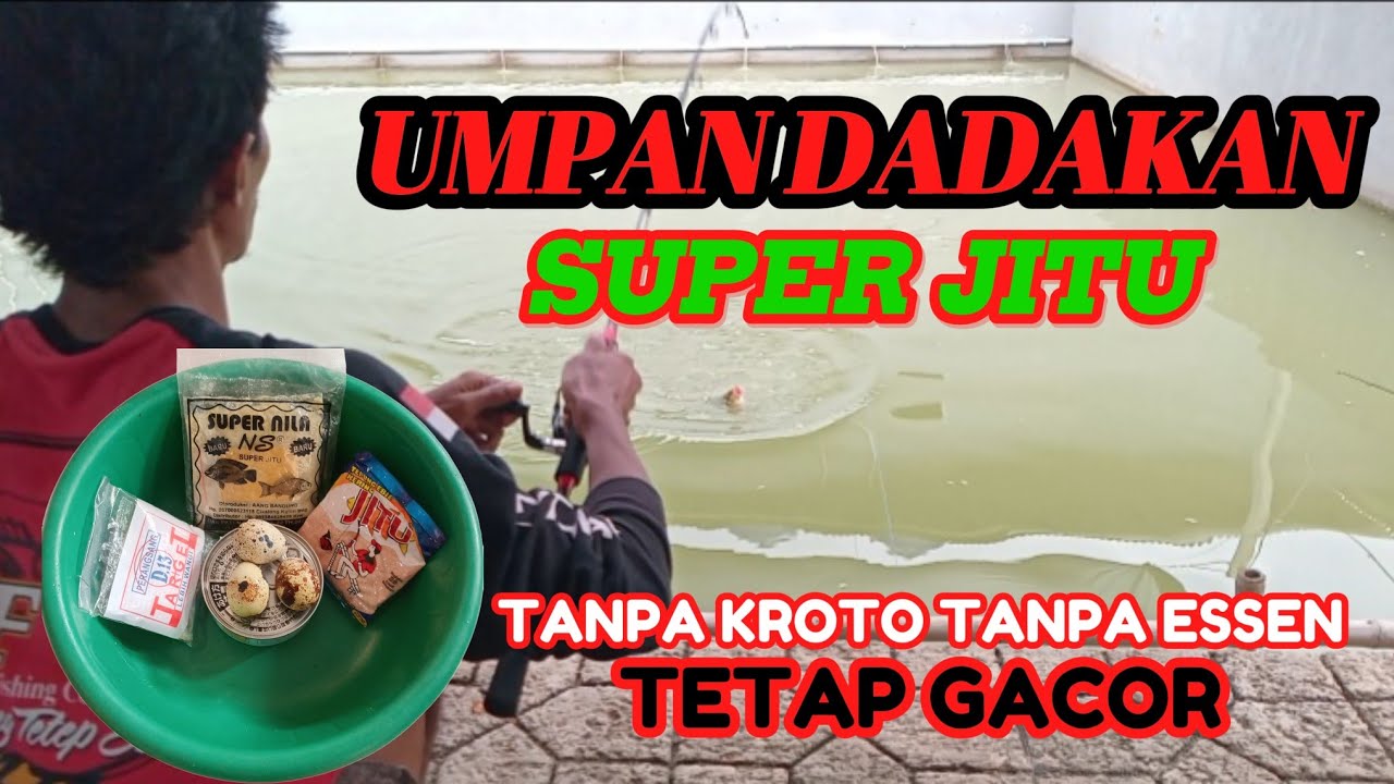 SUPER JITU‼️UMPAN DADAKAN IKAN MAS KOMBINASI SUPER NILA DAN JITU EBI