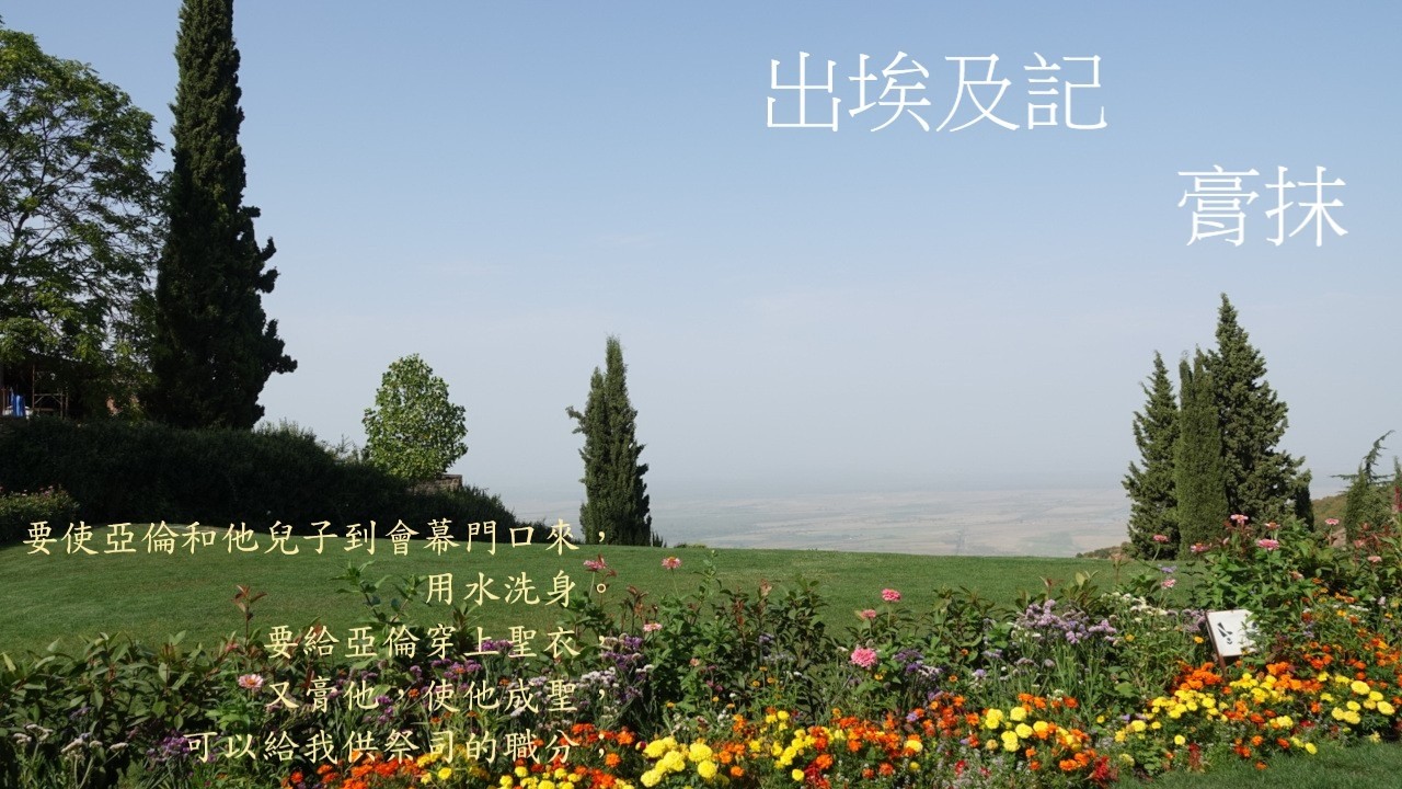 靈修:出埃及記-膏抹 20260303