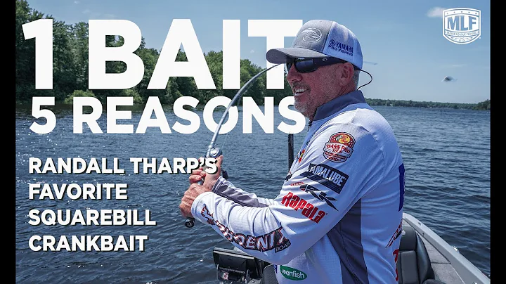 1 Bait, 5 Reasons: Randall Tharps Favorite Squareb...
