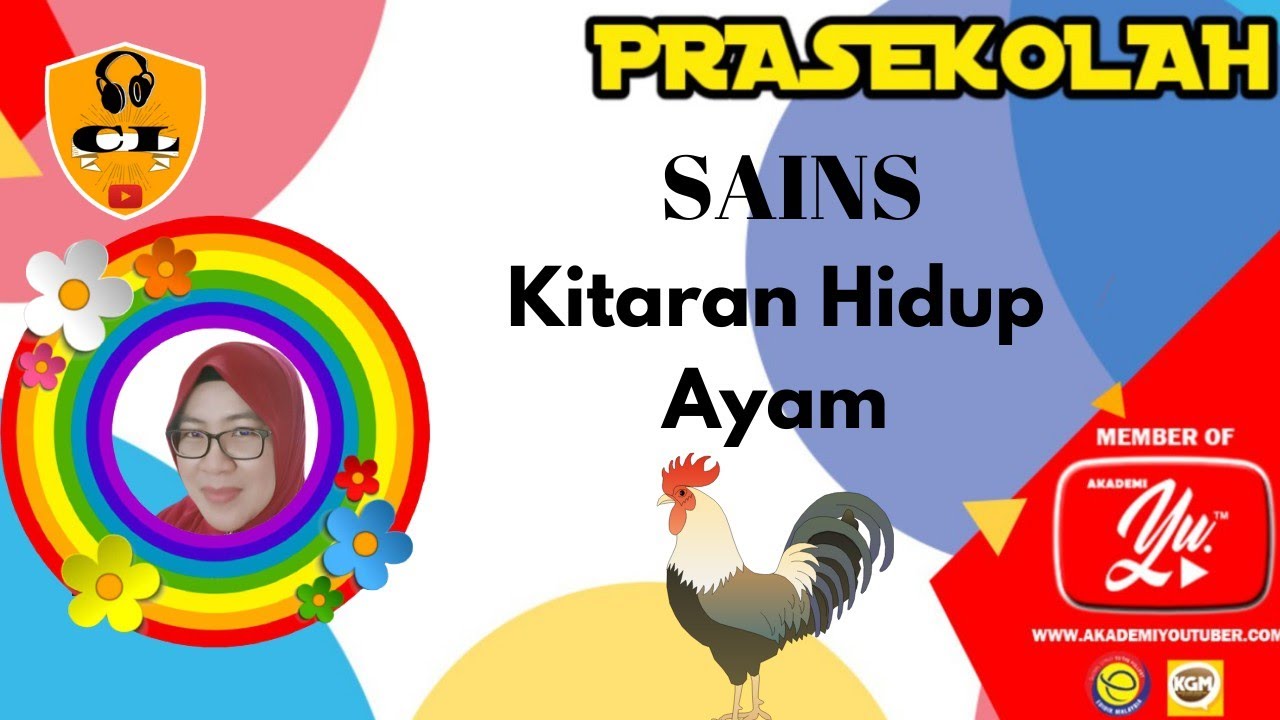 Kitaran Hidup Ayam Quizizz