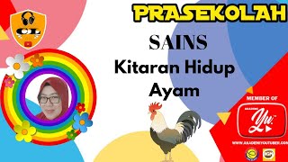 PRASEKOLAH| SAINS AWAL| SA 3.3.7| KITARAN HIDUP AYAM