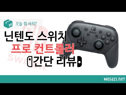 [오늘 뭐 사지?] 닌텐도 스위치 프로 컨트롤러 리뷰 (Nintendo Switch Pro controller Quick Review)