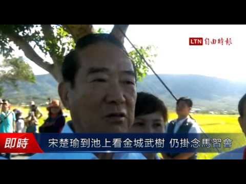 宋楚瑜到池上看金城武樹 仍掛念馬習會 - 宋楚瑜到池上看金城武樹 仍掛念馬習會