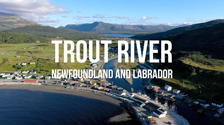 Trout River, Newfoundland and Labrador, Canada - 4K Drone Footage - NL and Chill Episode 5
