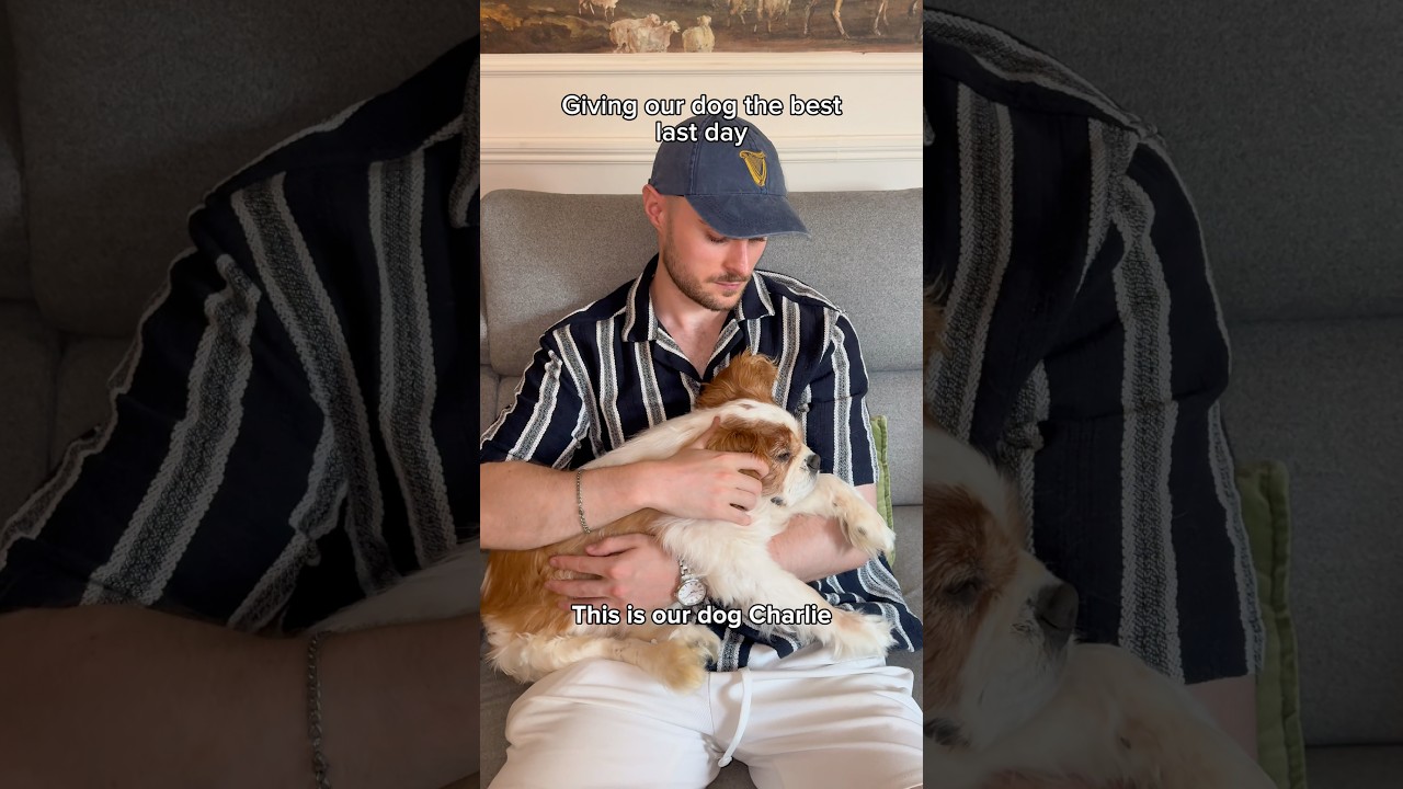 Spend our dog’s last day with us