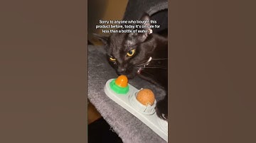 Catnip Fun for Happy Cats #catniphigh #catnipball #fok #cathumor