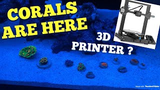 New corals! And 3D printer 🤔 screenshot 5