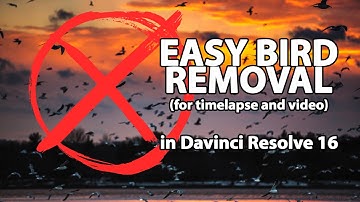 Bird Removal from Timelapse and Video Footage in Davinci Resolve 16